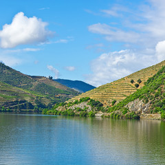 Obraz premium River Douro in Portugal