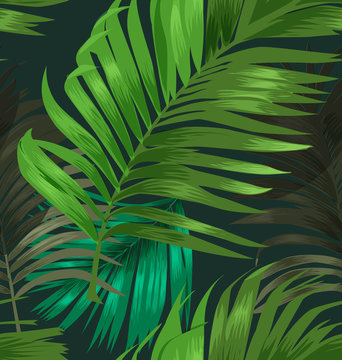 palm leaf pattern