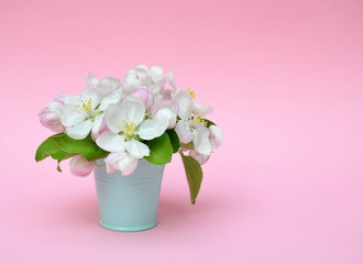 Bouquet of apple blossom in the bucket. Spring. Wedding. Card.