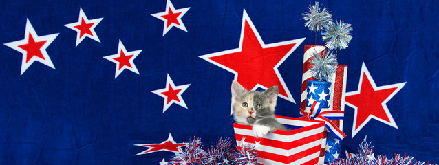 Patriotic calico kitten sitting in red and white stripped box , blue background with red stars outlined in white. Sized to fit a popular social media cover image placeholder