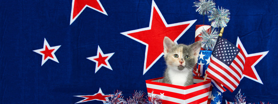 Patriotic calico kitten in red and white stripped box, blue background red stars outlined in white, American flag. Sized to fit a popular social media cover image placeholder