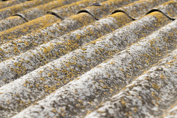 The old roof