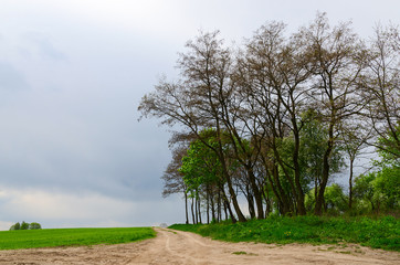 Country road between field and trees