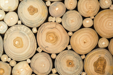 Closeup of round wood stump cut group, Background