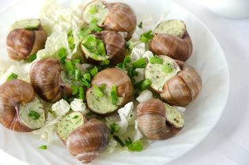 snail plate white napkin closeup