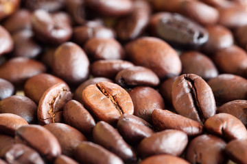 coffee bean background.