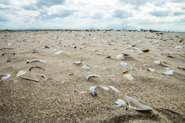 Beautiful sky and sand with white clouds.