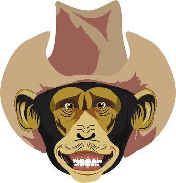 Chimpanze's head, with cowboy hat, isolated vector image