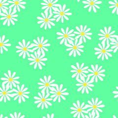 Fototapeta na wymiar Camomiles, Seamless floral pattern