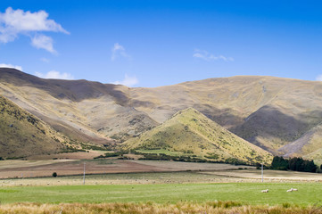 Countryside landscape, New Zealand