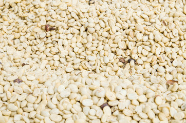 coffee beans background