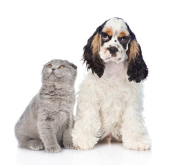 Cocker Spaniel puppy with young kitten. Focus on cat. Isolated o