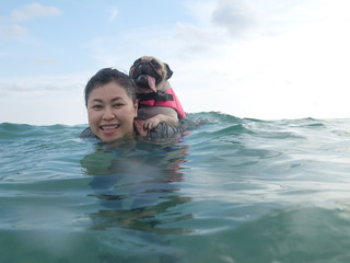 Cute dog puppy pug fear and afraid water ride on owner people woman back in summer beach, Koh Kood , Thailand. (Kood Island, Trat province). Summer background. Summer concept.