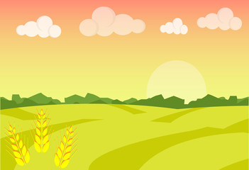 Wheat field ripe grow, agriculture. Farm landscape. Farm landscape illustration. Field wheat background. Farm sunrise background. Vector illustration