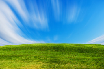 field of green grass and blue sky