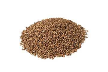 Isolated pile of dried coriander seed on a white background
