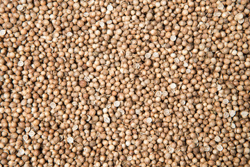 close up pile of dried coriander seed as a background