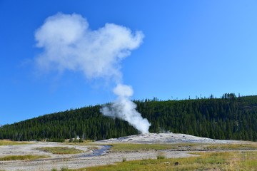 Old Faithful Geyser erupting at yellowstone national park