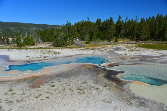 Old Faithful basin in Yellowstone National Park