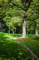 Fototapeta na wymiar Footpath in old park, an autumn landscape
