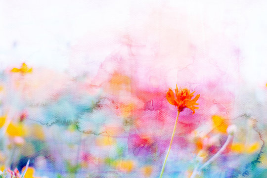 Yellow cosmos flowers image mix with painted watercolor on paper