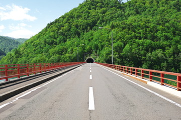 さっぽろ湖の新緑