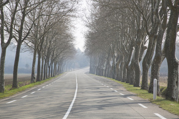 Open Road outside Uzes; Provence