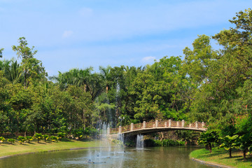 Bridge at the green park.