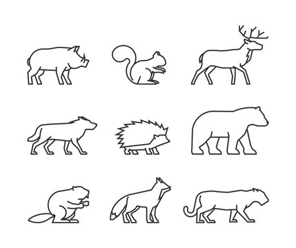 Cool line icons forest animals
