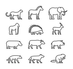 Cool line icons wild animals.