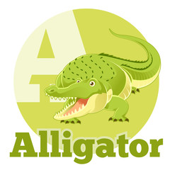 ABC Cartoon Alligator