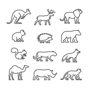 Cool line icons wild animals
