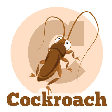 ABC Cartoon Cockroach2