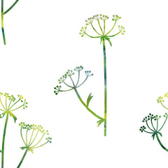 floral seamless pattern with dill plant