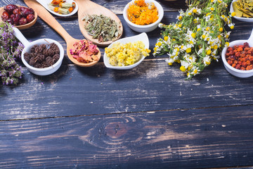 Herbs , berries and flowers