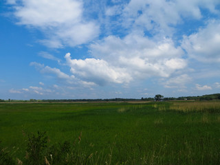 Wide green meadow