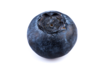 Blueberries on white background