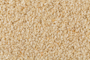 Closeup of lots of sesame seeds