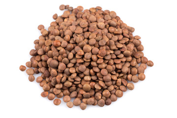 Lentils Isolated on White Background