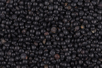 black lentils background closeup