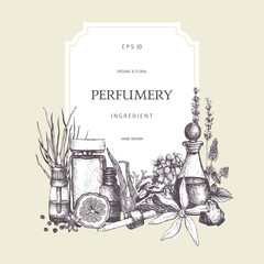 Vector design with hand drawn perfumery and cosmetics ingredients. Decorative background with vintage aromatic plants for perfumery