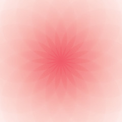 Background with a large pink flower in the center. Romantic mood. Shades of pink and red. Bright pattern.