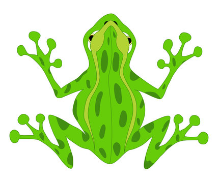 cartoon frog 