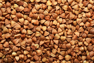 Sun lighted buckwheat grain seeds closeup background