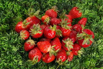 Fresh Strawberry Background on green grass background