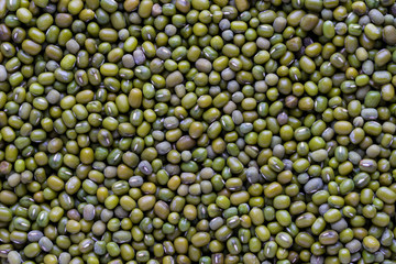 close up green beans background, top view