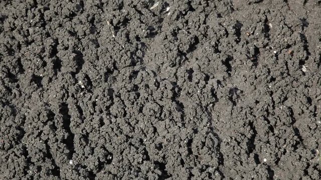 Shit. Drying feces into fertilizer. Lake for drying sewage. Drain faecesn.