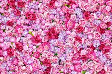 pink peonies background