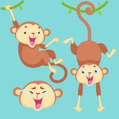 Tissu par mètre Singe Cartoon monkey with emotions