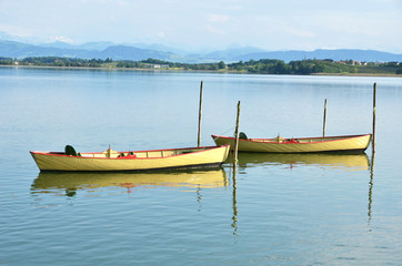 Obraz premium Pleasure boats on Pfaeffikon lake, Switzerland